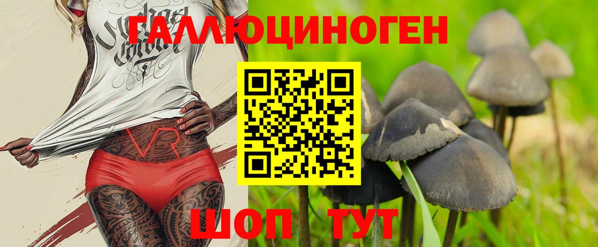 закладка  Галлюциногенные грибы Cubensis  Вход с VPN  Коркино 